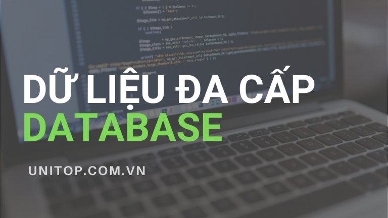 du-lieu-da-cap-database-unitop